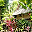 Roots Tree House