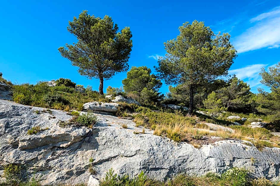 Hôtel Mas Vidau Porte des Alpilles