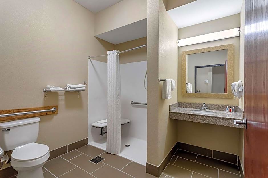 Comfort Inn & Suites Carbondale University Area