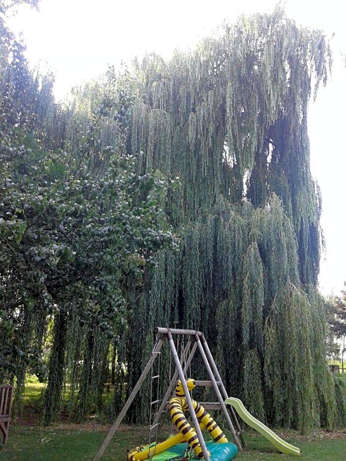 Chambre d'hôtes Élevage' chemin noir