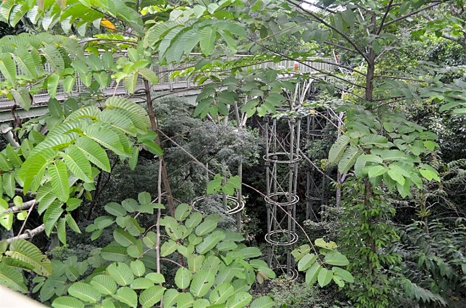 Four Points By Sheraton Sandakan