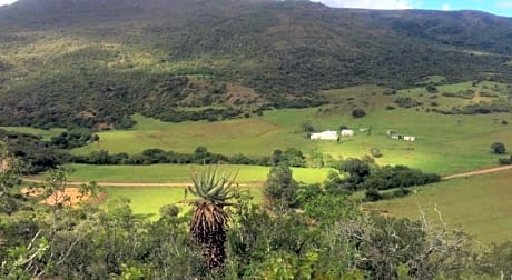 Kromrivier Farm Stays & B&B Near Addo Elephant Park