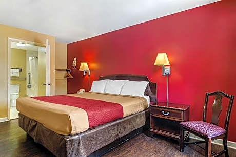 King Room with Hand Rails-Bathroom - Accessible/Non-Smoking