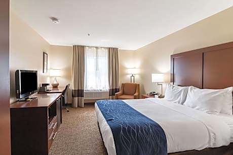 1 Queen Bed, Nonsmoking, Accessible