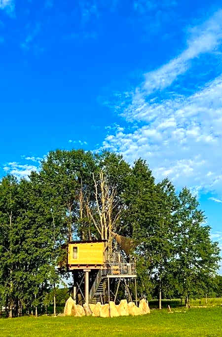 Zelený ostroff Treehouse