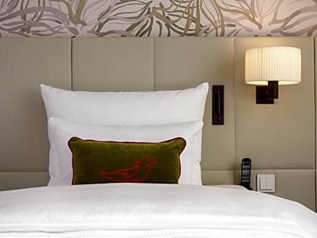 Superior Queen Room