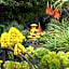 Thylitshia Villa Country Guest House