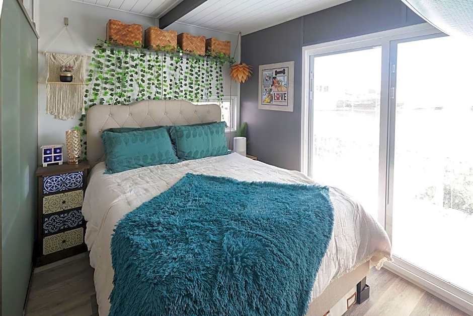 Dolphins Vacation Rental