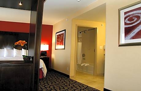 King Suite - Hearing Access/Non-Smoking