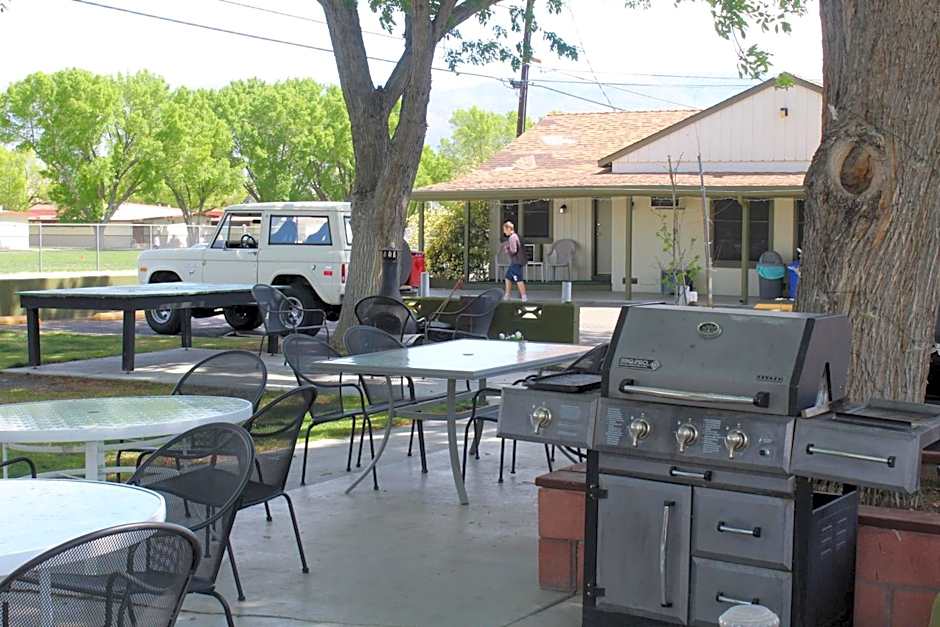 Trees Motel