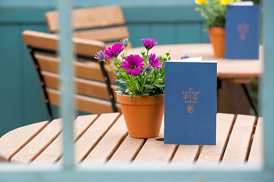 The Curious Pig in the Parlour