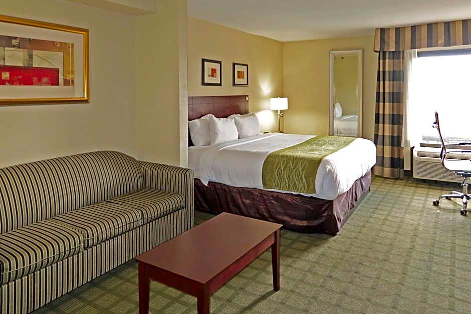 Comfort Inn Southwest Fwy at Westpark