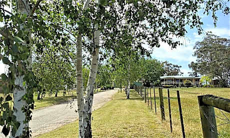 Nicholson BnB and Arts Centre