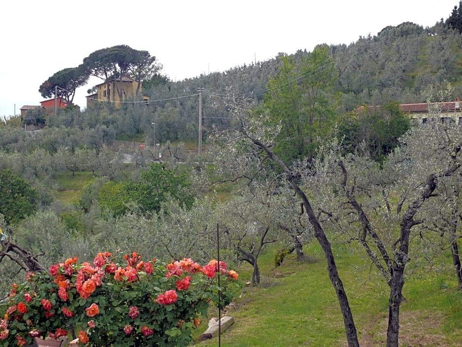 Antica Bottega Di Vinci – Vinci, IA