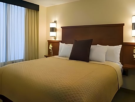 King Suite with Sofa Bed