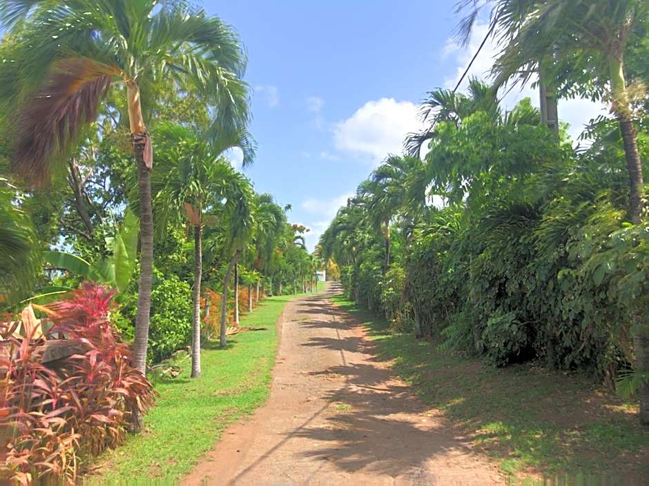 Résidence Paradis Tropical