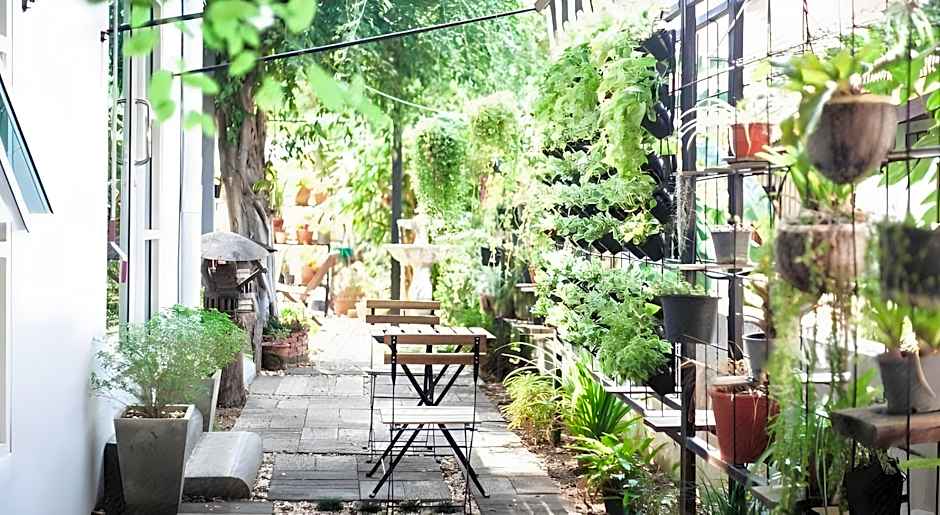 Hug Inn Phrae