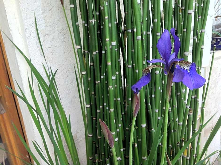 La Porte Rouge - The Red Door Inn