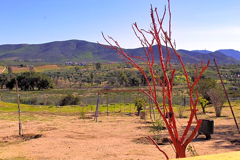 Rancho Matalote en Valle de Guadalupe