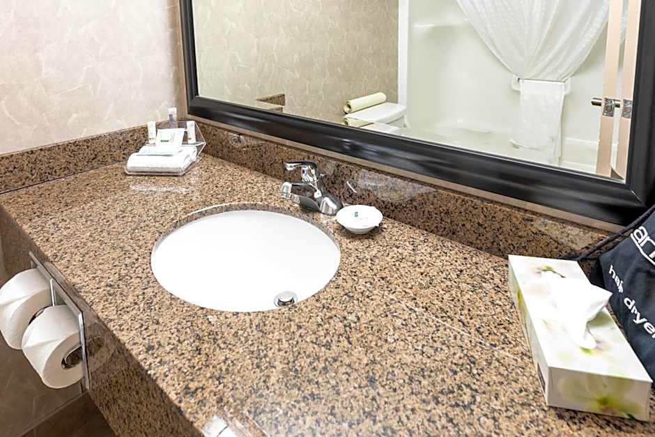 Royal Hotel West Edmonton, Trademark Collection by Wyndham