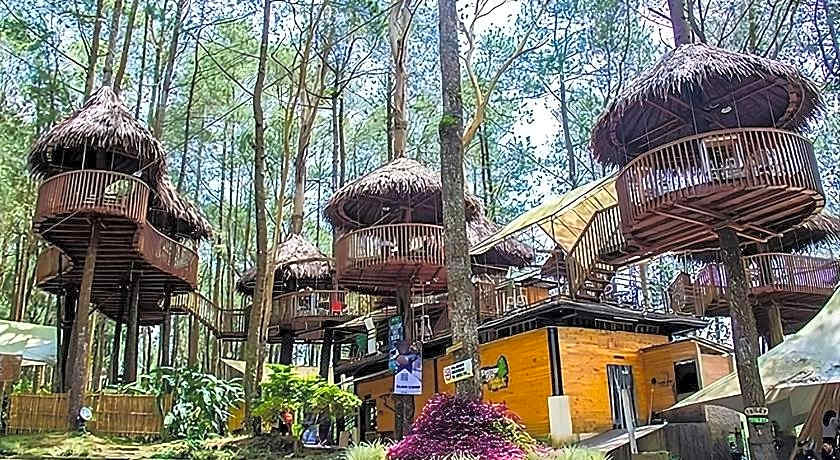 Kopeng Tretop Adventure Park