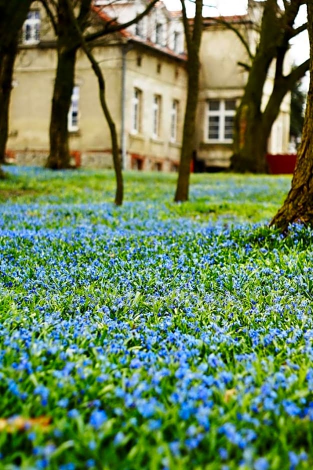 Palac Osowo gostynskie