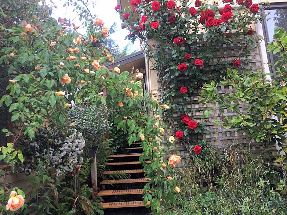 Waitomo Caves Guest Lodge