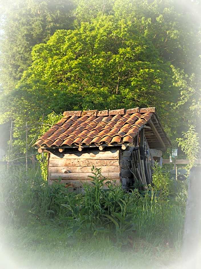 La Clairière du Verbamont