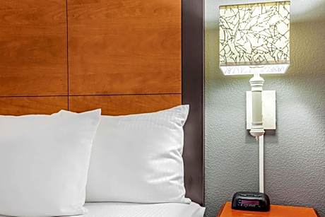 King Suite with Sofa Bed - Non-Smoking