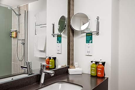 1 Double Standard Accessible