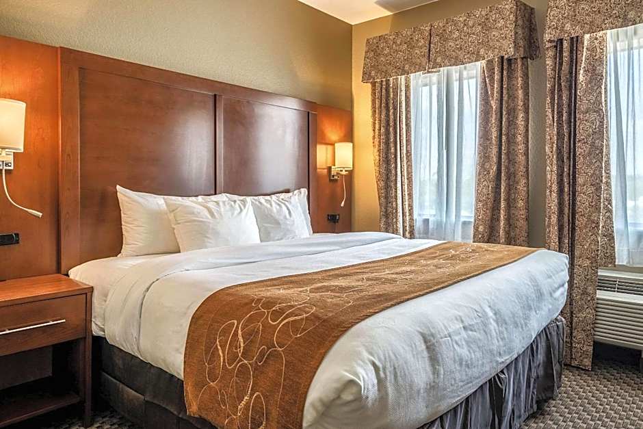 Comfort Suites Near Texas State University