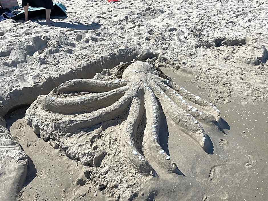 Ferienwohnung Sturmmöwe