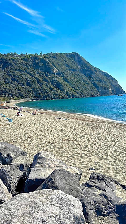 Hotel Boutique Ideal