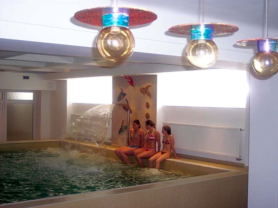 Wellness Hotel Central