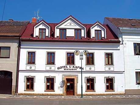 Hotel u Kapra