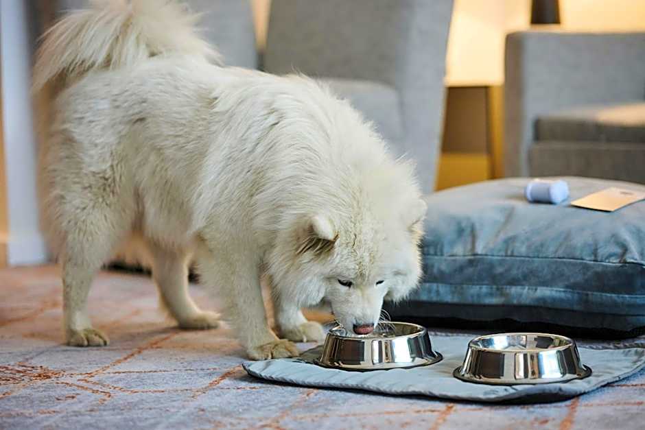 Sheraton Poznan Hotel