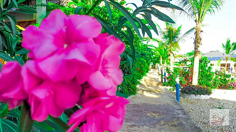 Jabali Bungalows Lodge