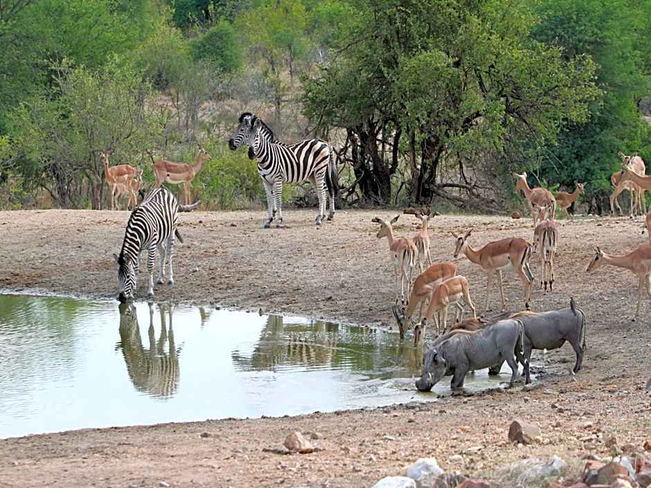 Makumu Private Game Lodge
