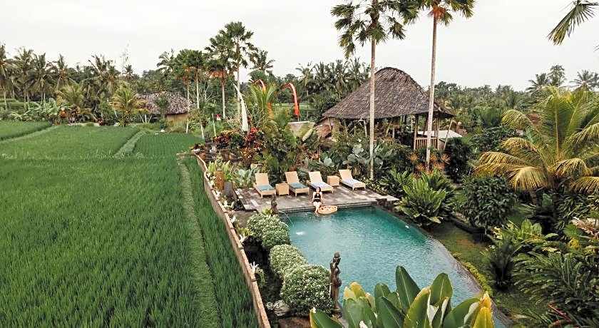 Padi Bali Eco Villas