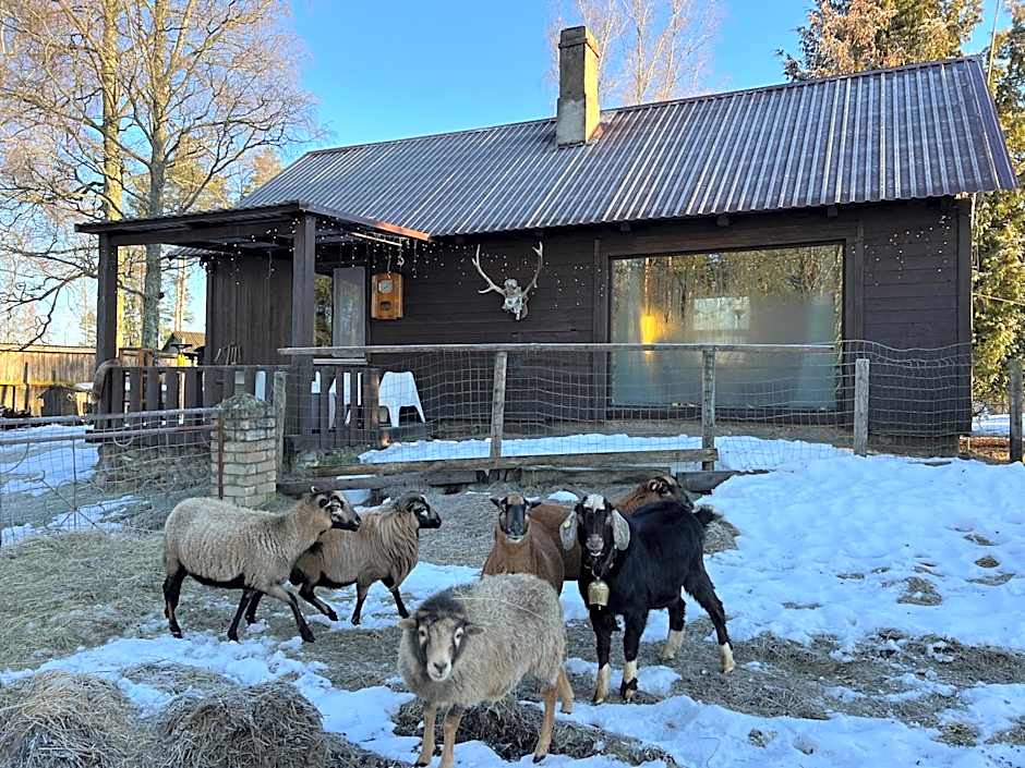 Private Farm Jakuzzi Sauna in the forest