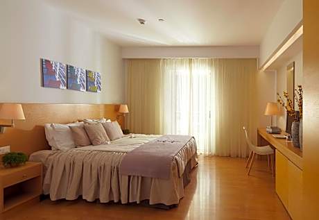 Executive Double or Twin Room