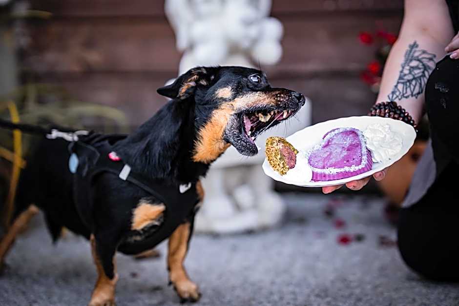 Berghotel Steiger - Erzgebirge