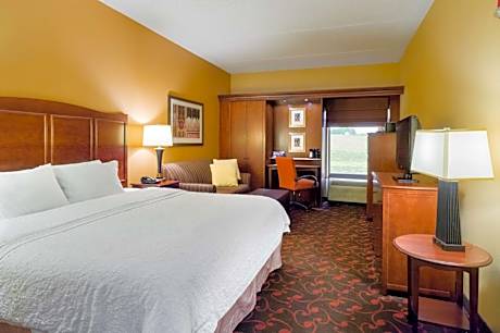 Executive King Room with Sofa Bed - Non-Smoking