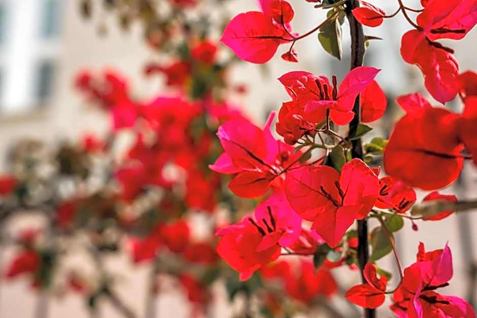 Archontiko Eleni Hotel