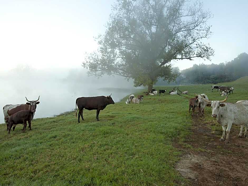 Whispering Waters