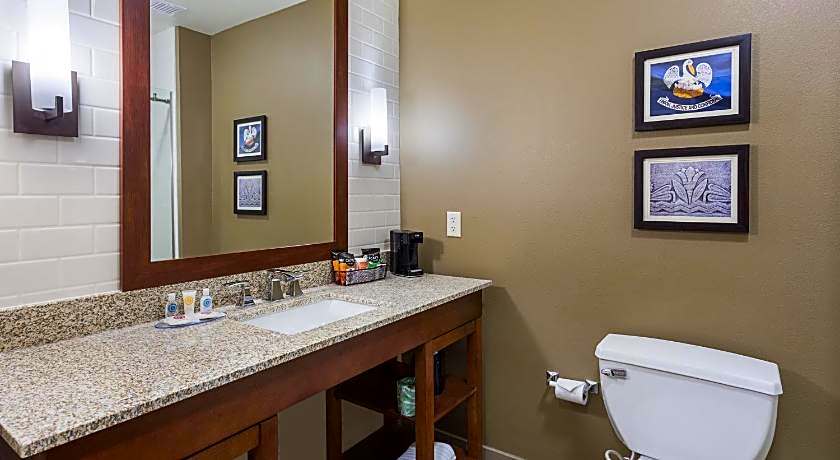 Comfort Inn & Suites Zachary
