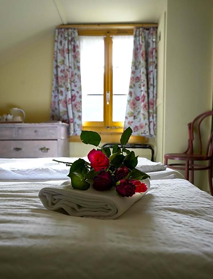 Edelweiss Lodge