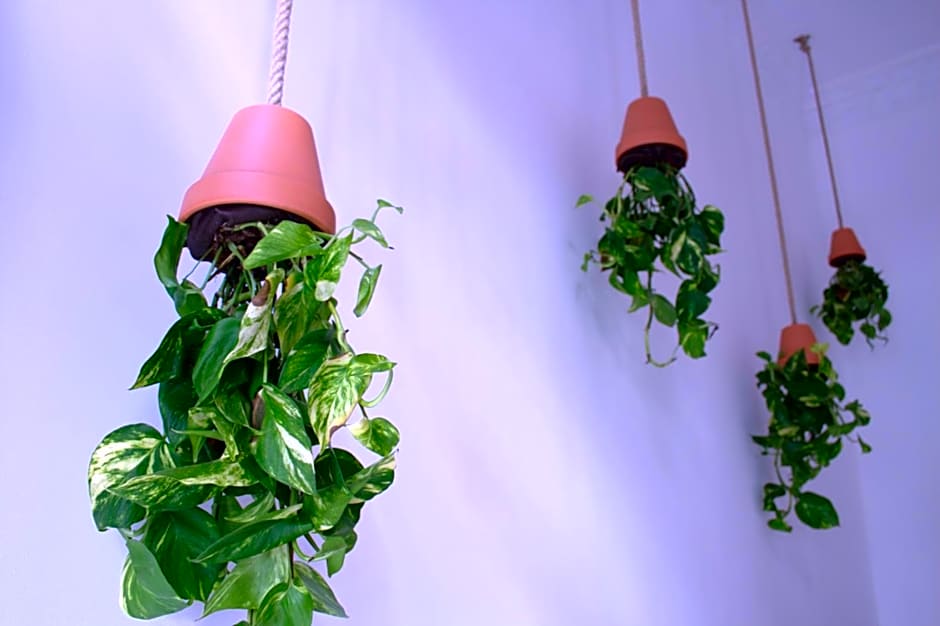 ABCyou Bed&Breakfast