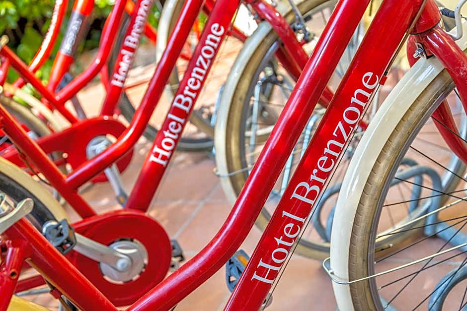 Lake Front Hotel Brenzone