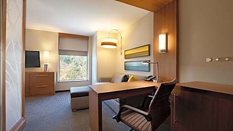 King Room with Sofa Bed